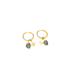 Pendientes IRIS