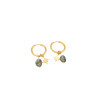 Pendientes IRIS
