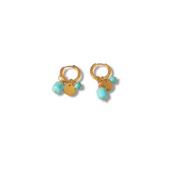 Pendientes SELENE
