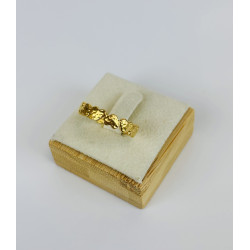 Anillo AMONET