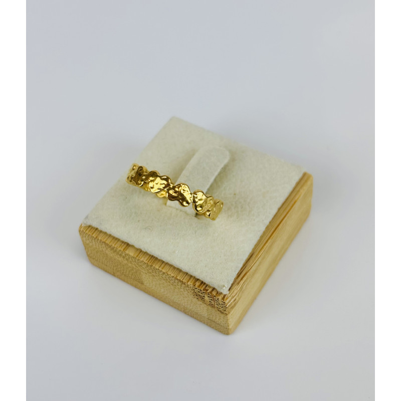 Anillo AMONET