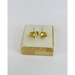 Anillo AMONET